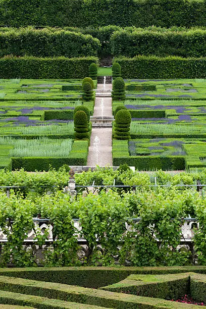 Garden and Chateau de Villandry  in  Loire Valley in France