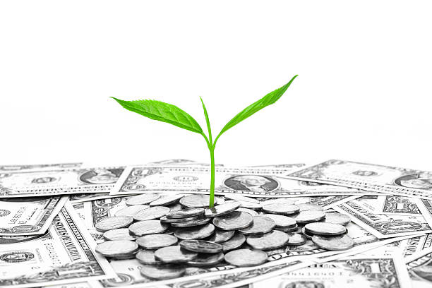istock investment plan:coin and growing plant on dollar currency 484469477