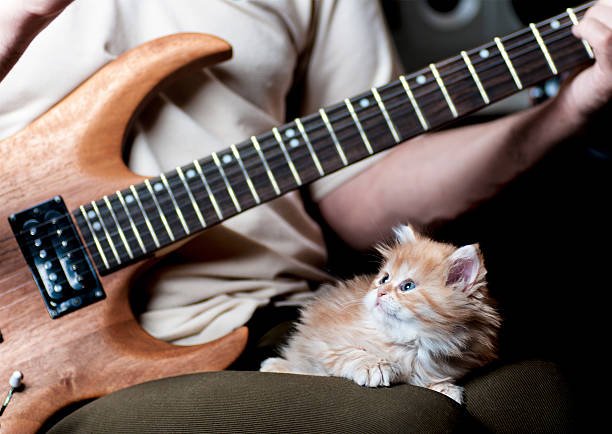 istock red kitten a sleep in the arms of men 484470041