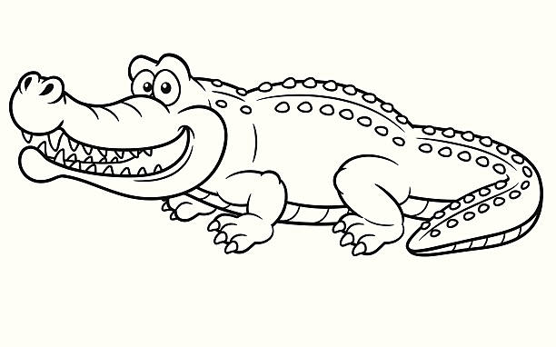 Crocodile Vector illustration of Cartoon crocodile - Coloring book african animals coloring pages stock illustrations