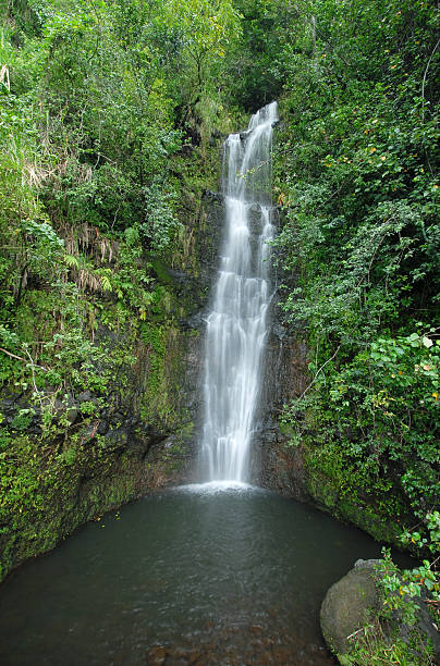 cascata nel parco nazionale dell'haleakala, hawaii, stati uniti - hawaii islands big island waterfall nobody foto e immagini stock