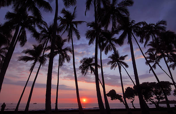 tramonto, isola di hawaii, stati uniti - hawaii islands big island waterfall nobody foto e immagini stock