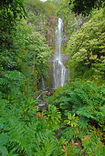 istock Waterfall in Tropical Rainforest, Maui Hawaii 484471691