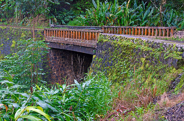 istock Bridge on Road to Hana, Maui, Hawaii 484471693