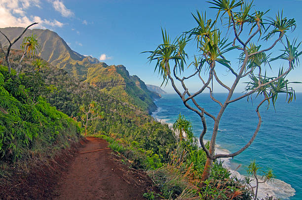 istock Rugged Coastline and Cliffs of Kauai, Hawaii 484471699