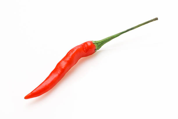 Red Hot Chilli Pepper stock photo