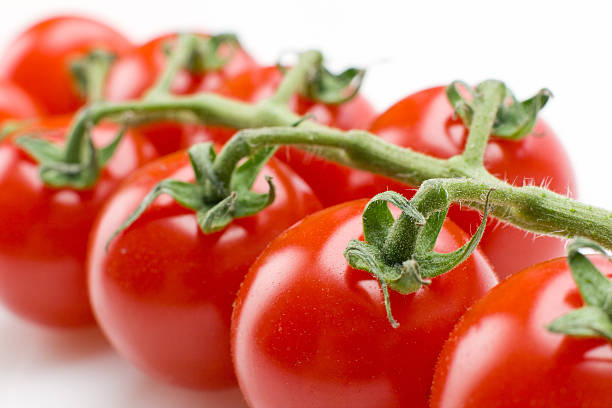 cherry tomato stock photo