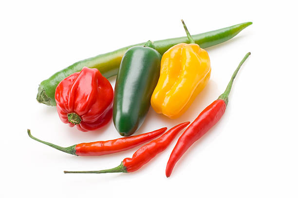 Variety of peppers stock photo