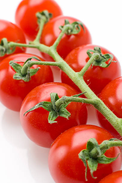 cherry tomato stock photo