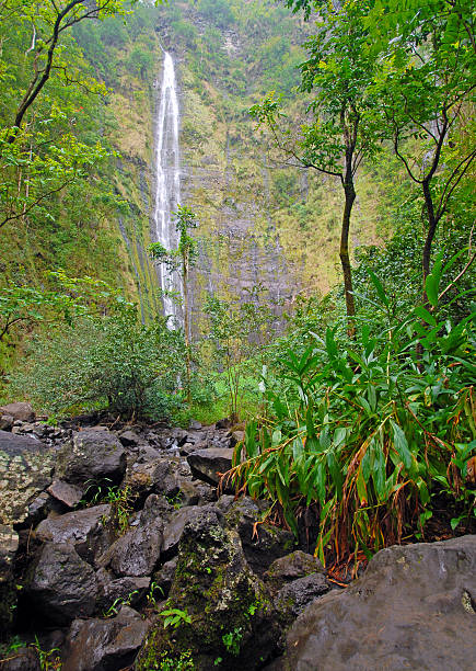 istock Waterfall in tropical rainforest, Maui, Hawaii 484472519