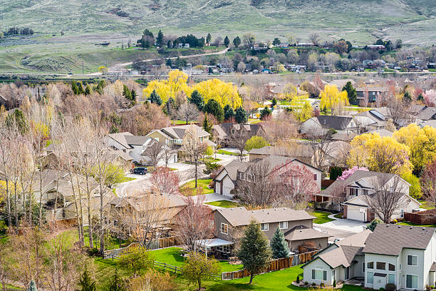 istock View of Boise neighborhood in spring 484472935