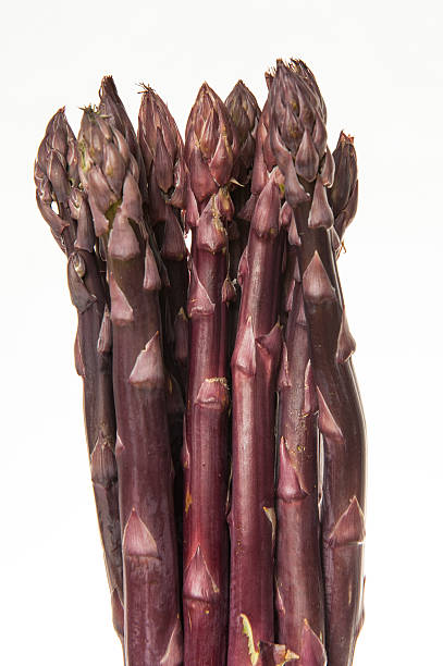 istock Bunch of Purple Asparagus 484475477