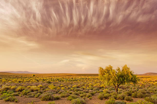 puesta de sol en el karoo - the karoo fotografías e imágenes de stock