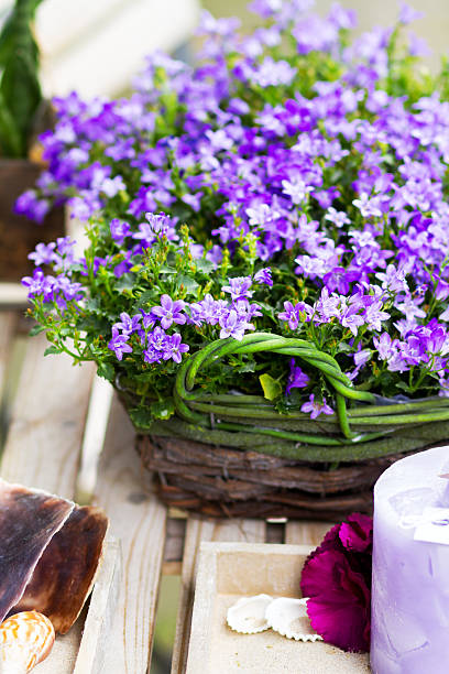 istock Purple summer flowers in basket 484477286