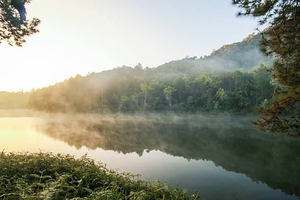 istock Pang Ung, Mae Hong Son Thailand 484484318