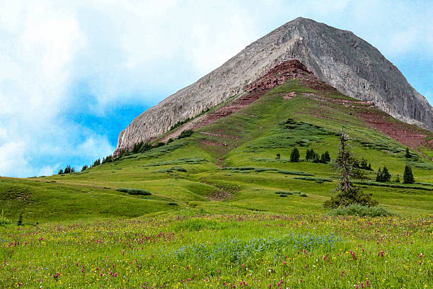 istock Engineer mountain peak and a wildflower covered mountain meadow 484487146