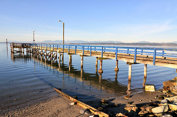istock pier for fishing crabs 484491124