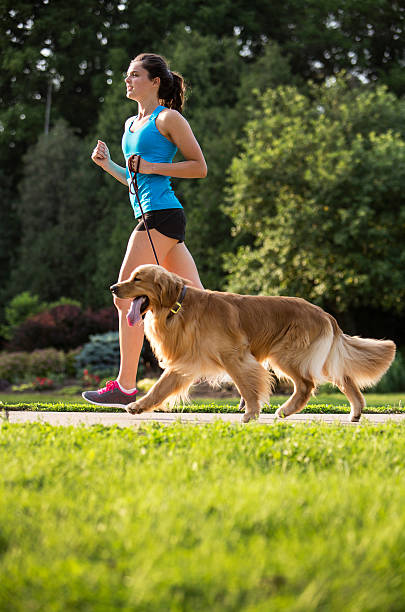 istock Jogger and Golden Retriever Running on a Paved Trail. 484491480