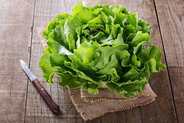 Butter lettuce over wooden rustic background stock photo