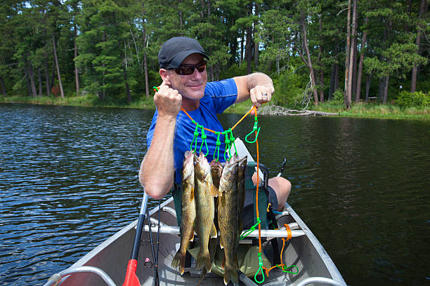 Fisherman In A Canoe Holds Up A Stringer Of Walleyes Stock Photo - Download  Image Now - iStock