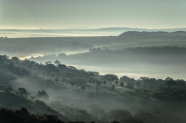 Brazilian rural landscape under autumn sunrise sunbeams