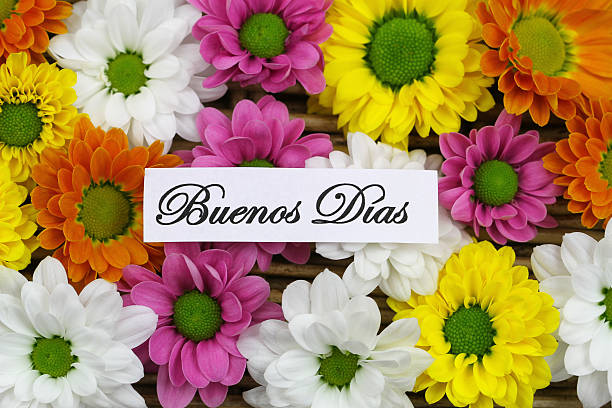 istock Buenos Dias (Good mornng in Spanish) with colorful Santini flowers 484503284