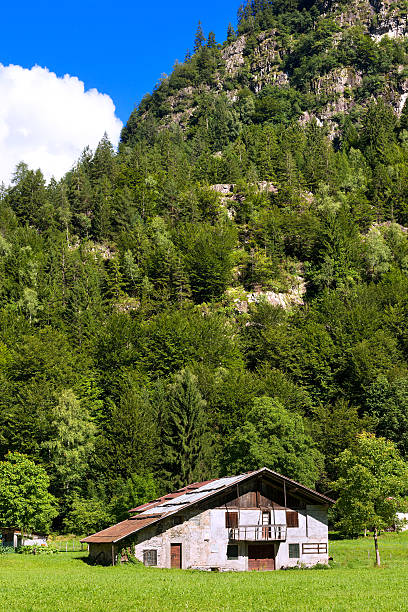 istock Typical Old Farmhouse - Trentino Italy 484506646