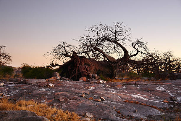 istock evening scenery at Kubu Island 484514550