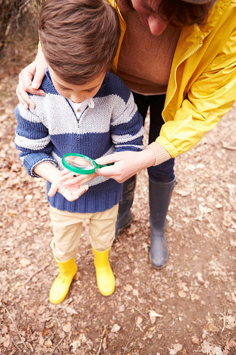 Boy With Mother Examining Insect With Magnifying Glass