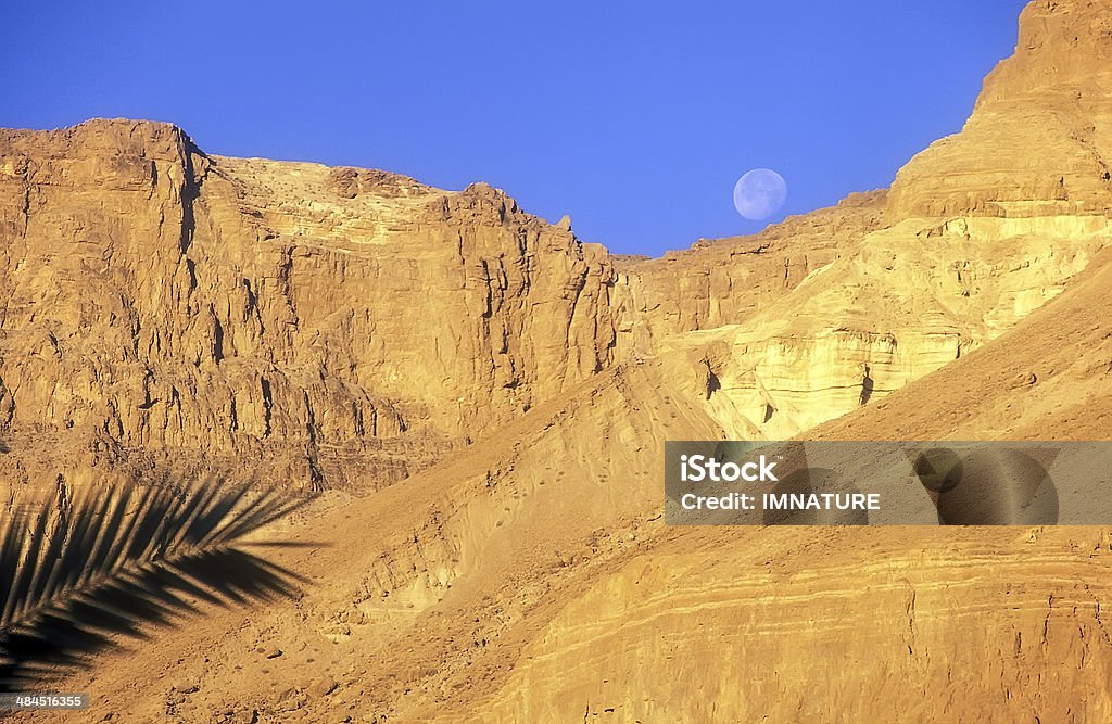 Judaean 사막, 이스라엘 - 로열티 프리 0명 스톡 사진