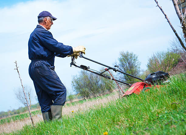 istock Male gardener  with lawnmower 484517187