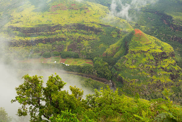 istock Waimea Canyon Kauai island Hawaii 484520631