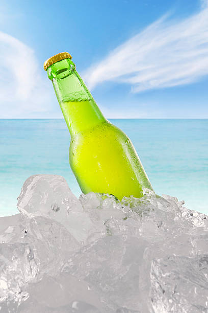 istock Fresh beer in the bottle with ice cube at beach 484530592