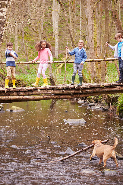 istock Children Crossing Bridge As Dog Plays In Stream 484538166