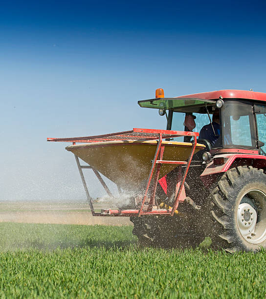 istock Farmer fertilizing wheat field with nitrogen, phosphorus, potassium fertilizer 484539289