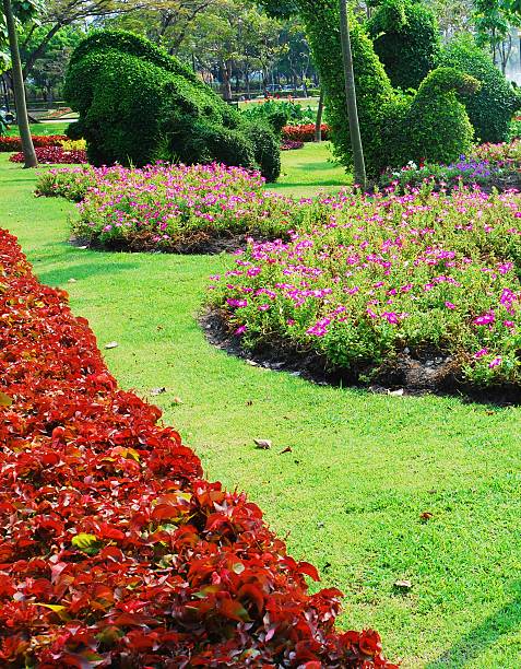 istock Garden public park,  Thailand 484539777