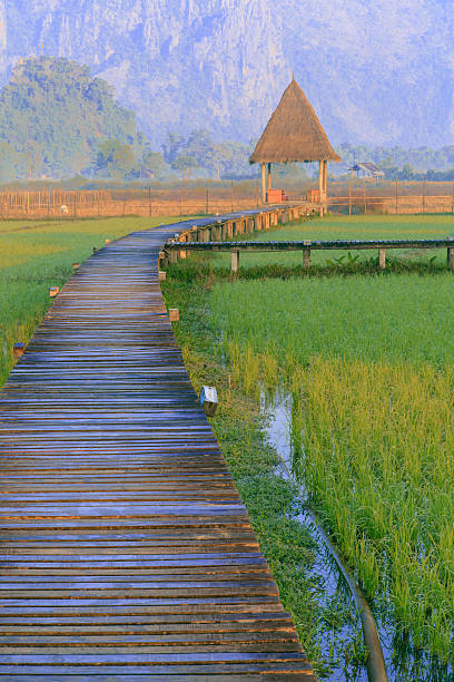 istock Vang Vieng Resort, Laos 484539884