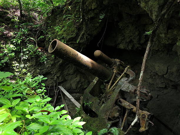 istock Cave Based Japanese WWII Artillery in Peleliu, Palau 484541476