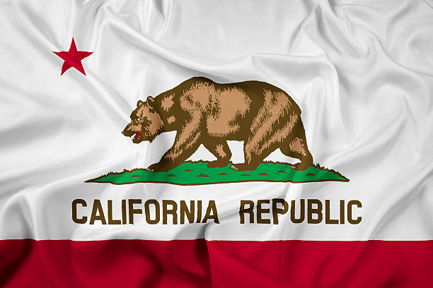 istock Waving California State Flag 484543057