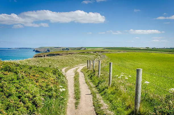 Photo of Deserted Clifftop Path and Blue Sky