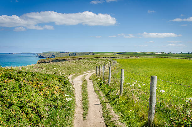 cais clifftop caminho e céu azul - cornualha inglaterra imagens e fotografias de stock