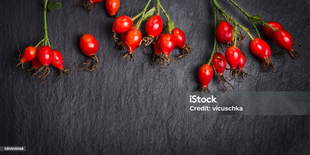 hips berries on dark slate background, banner for website 2015 Stock Photo