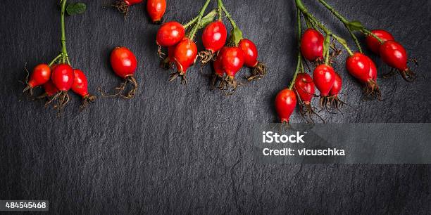 Hips Berries On Dark Slate Background Banner For Website Stock Photo - Download Image Now