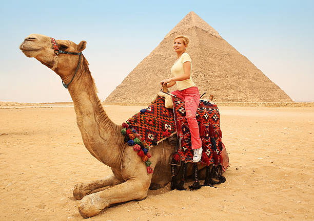 tourist woman en camello en giza. claro, cerca de las pirámides de egipto - camel ride fotografías e imágenes de stock