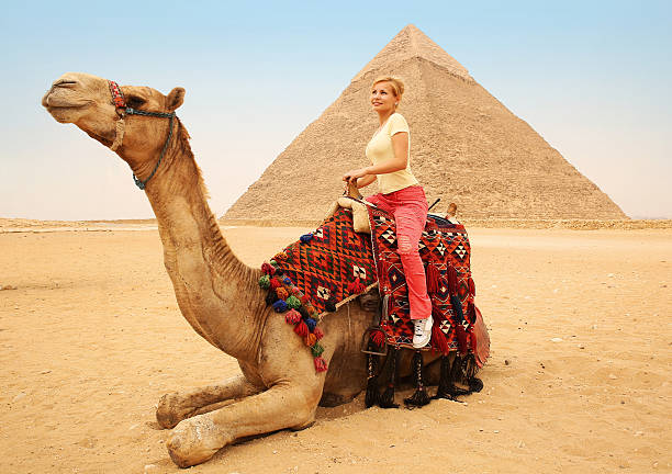 turistico donna su cammello di giza. biondo vicino piramide, egitto - camel back foto e immagini stock