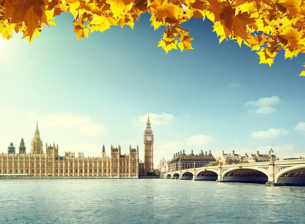 istock autumn leaves and Big Ben, London 484546188