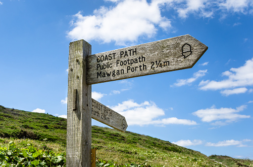 A robin sits on a sign near Prawle Point, Devon, United Kingdom