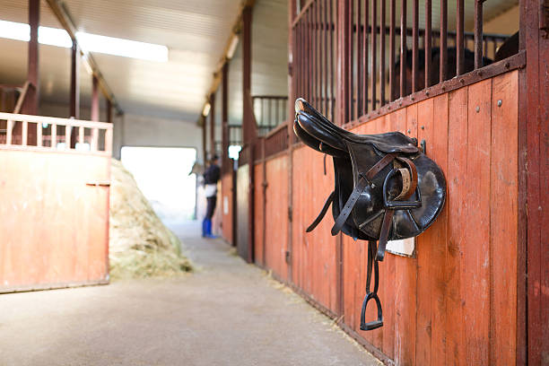 istock Leather saddles horse 484547692