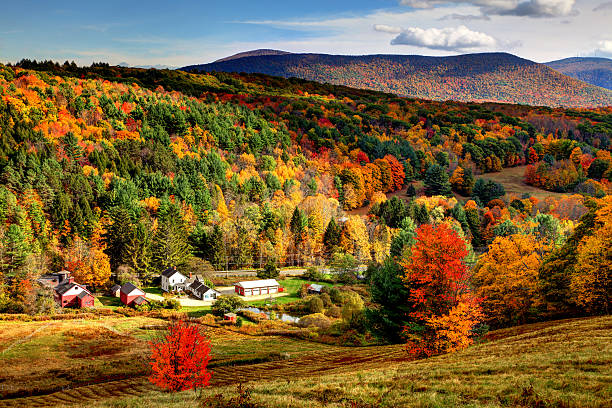 feuillage d'automne dans la région du massachusetts bershires - berkshire hills photos et images de collection