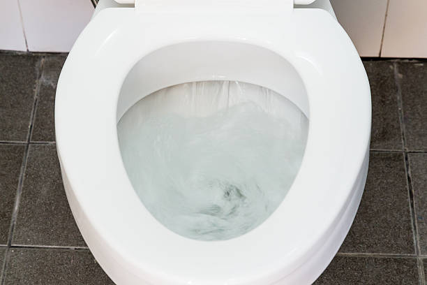 This is a view into a modern toilet bowl.